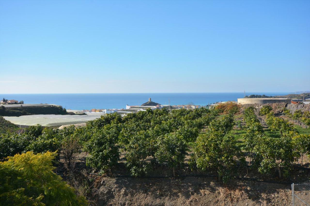 Pura Vida El Morche Διαμέρισμα Torrox Εξωτερικό φωτογραφία