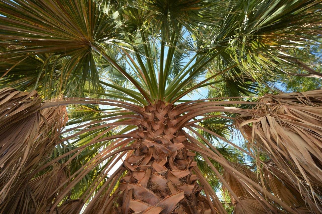 Pura Vida El Morche Διαμέρισμα Torrox Εξωτερικό φωτογραφία