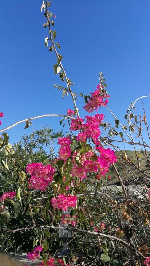 Pura Vida El Morche Διαμέρισμα Torrox Εξωτερικό φωτογραφία